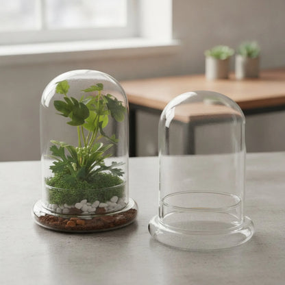 Cloche Terrarium Verre Borosilicaté Moderne