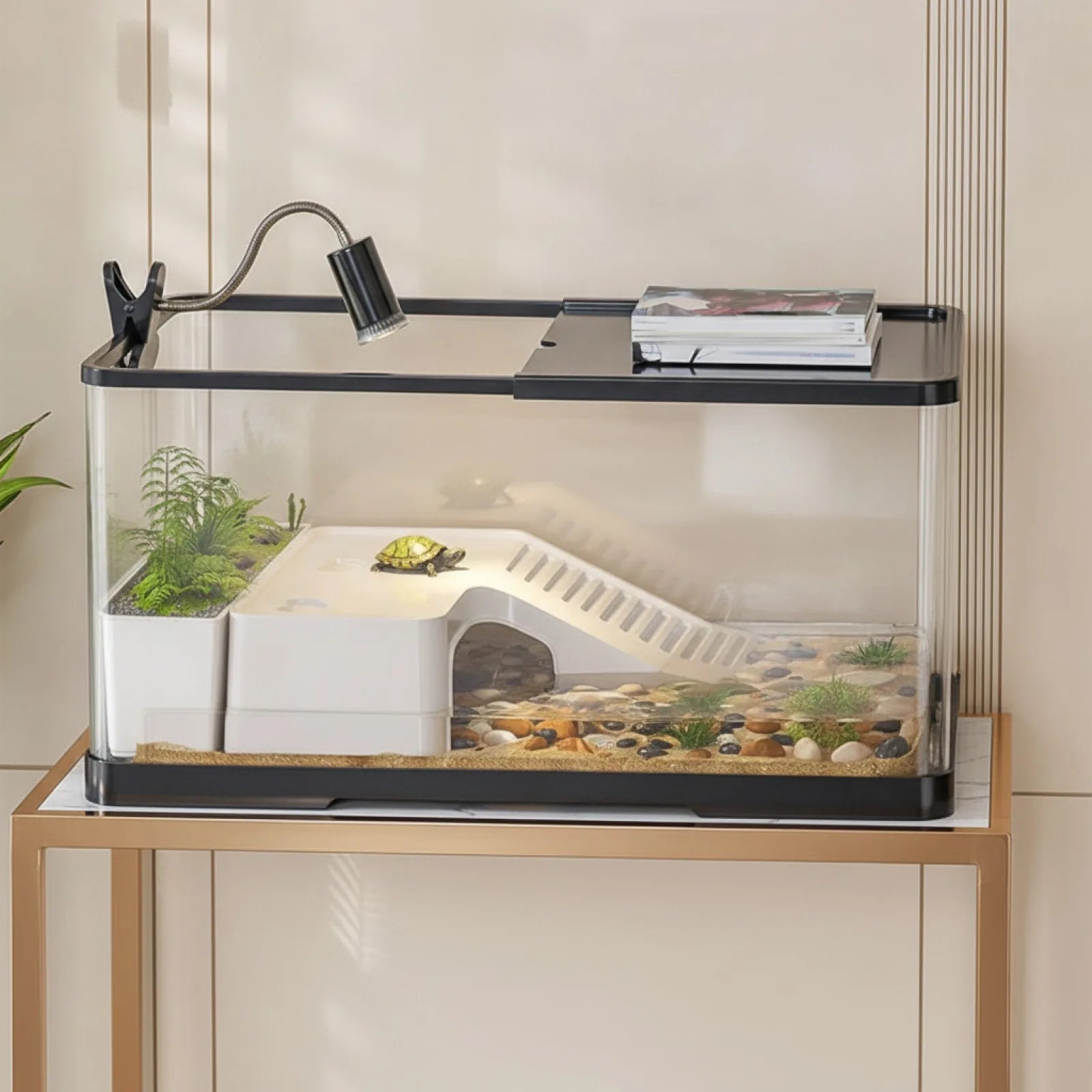Terrarium Tortue 20 Gallons avec Plateforme