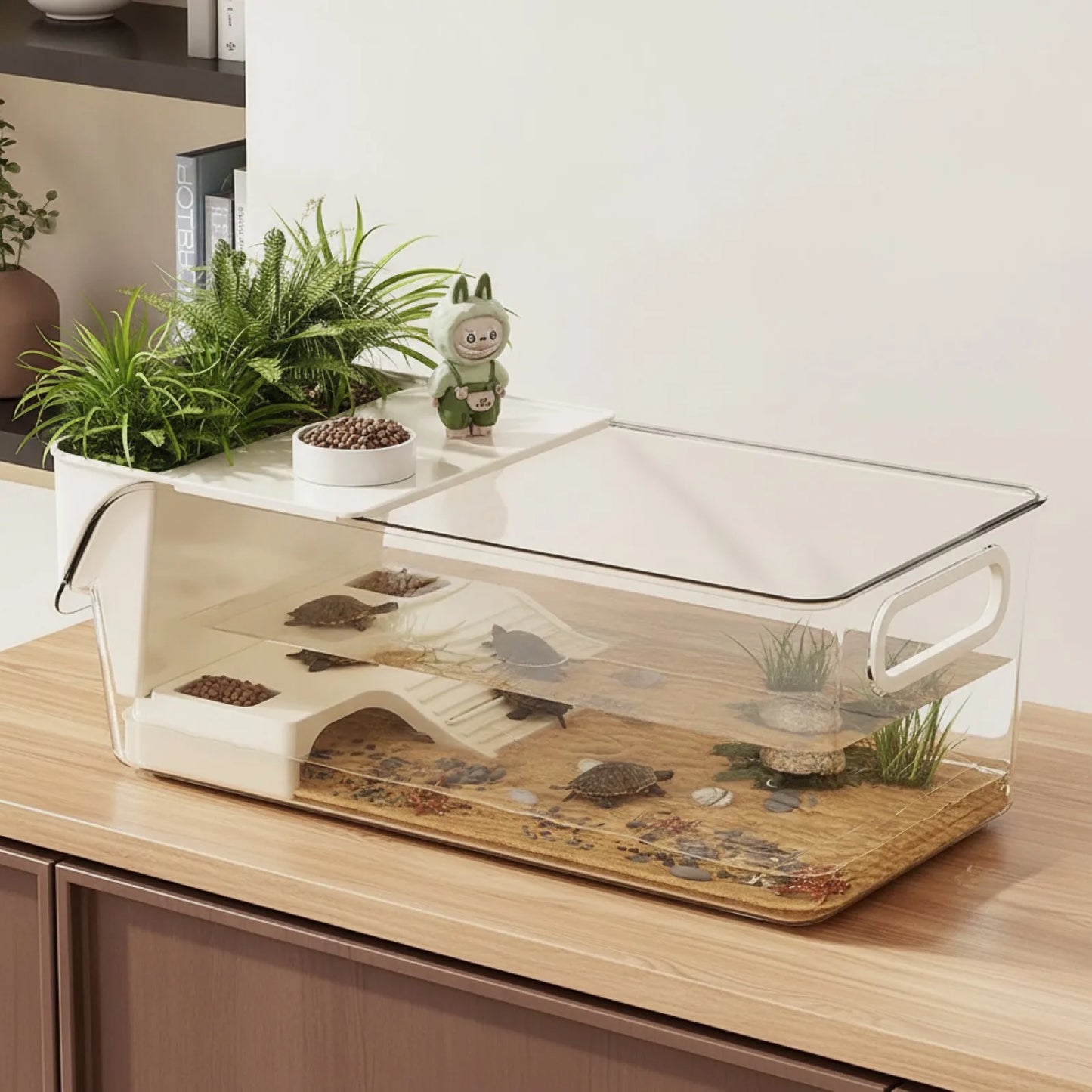 Habitat Tortue Multifonction : Bain, Repos & Jeu
