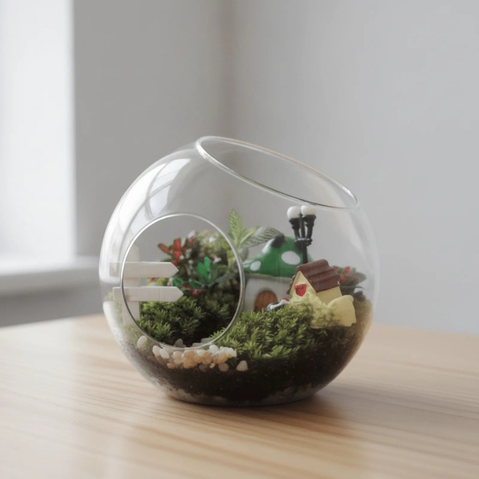 Vase Boule Verre Transparent pour Plantes