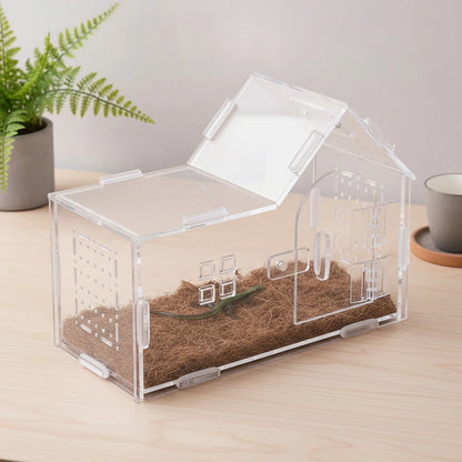 Habitat Transparent Écologique pour Reptiles