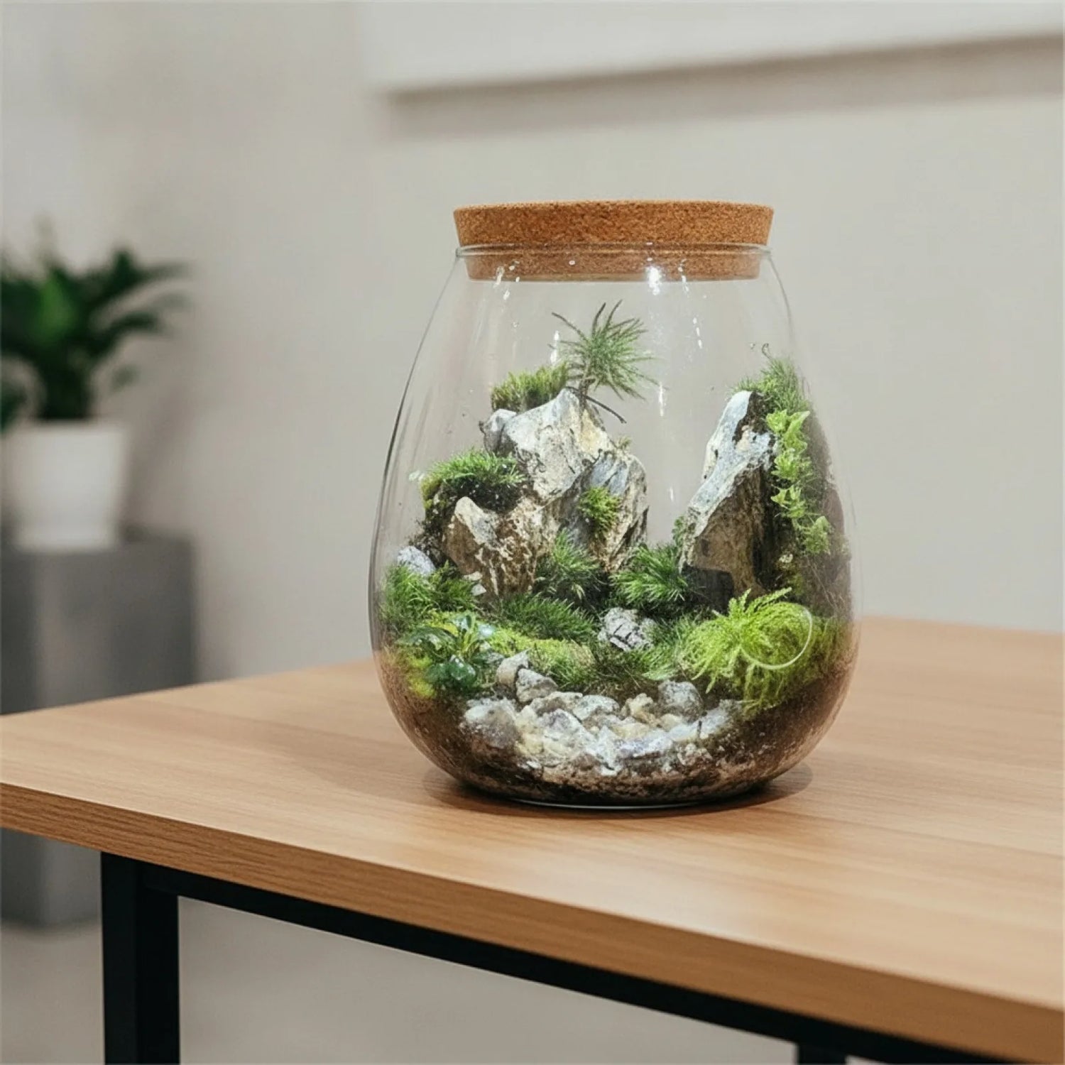 Bouteille Terrarium en Verre Fait Main BenRussell