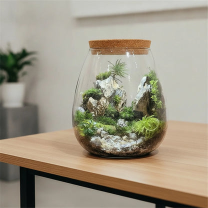 Bouteille Terrarium en Verre Fait Main BenRussell