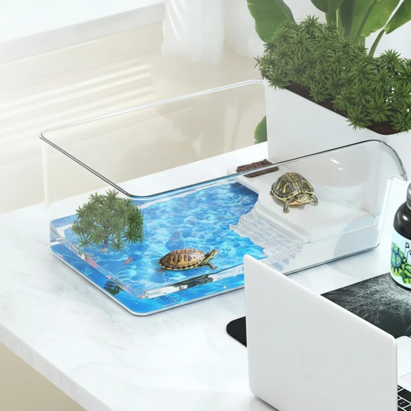 Terrarium Tortue & Reptile Transparent 360°