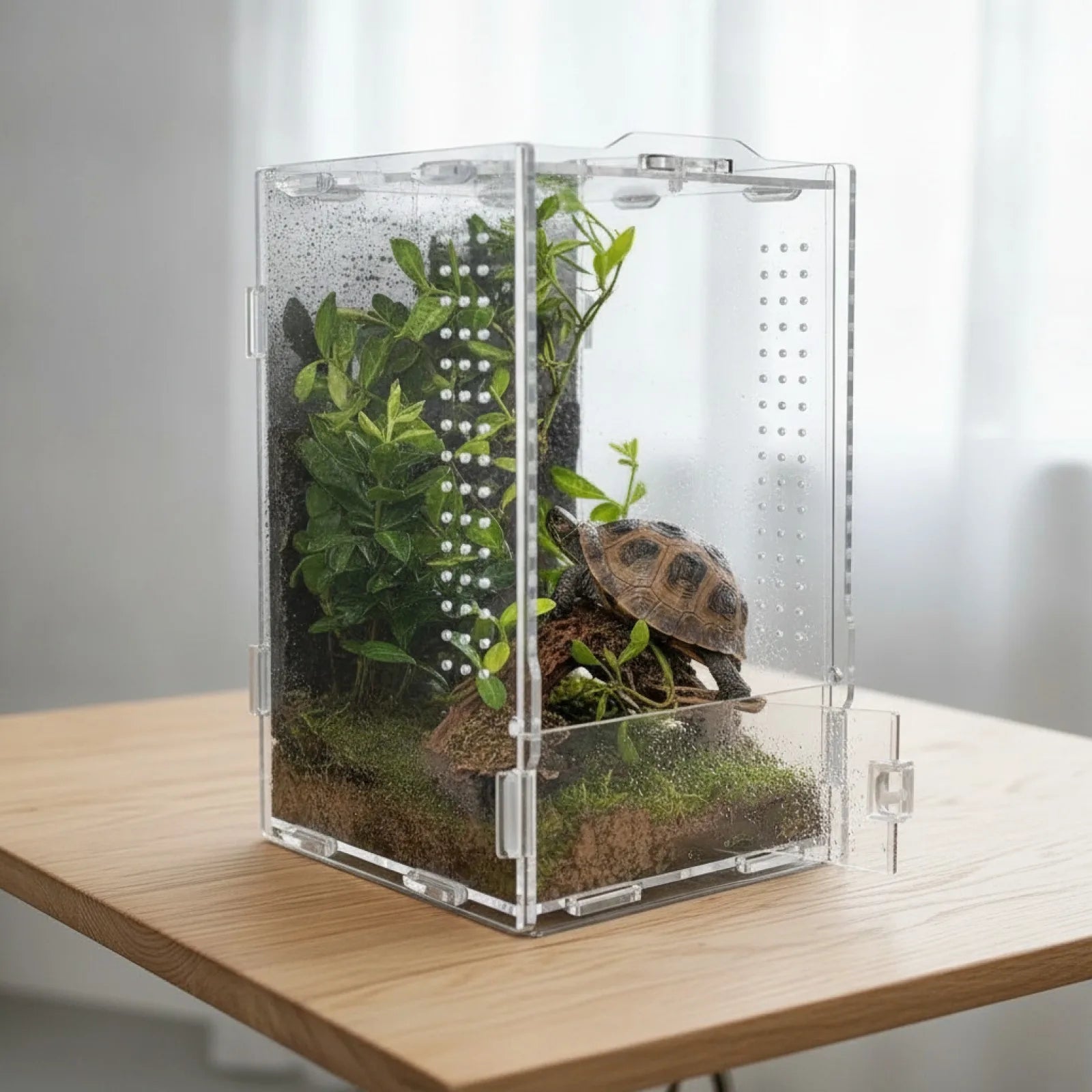 Terrarium Acrylique Anti-évasion pour Reptiles et Insectes