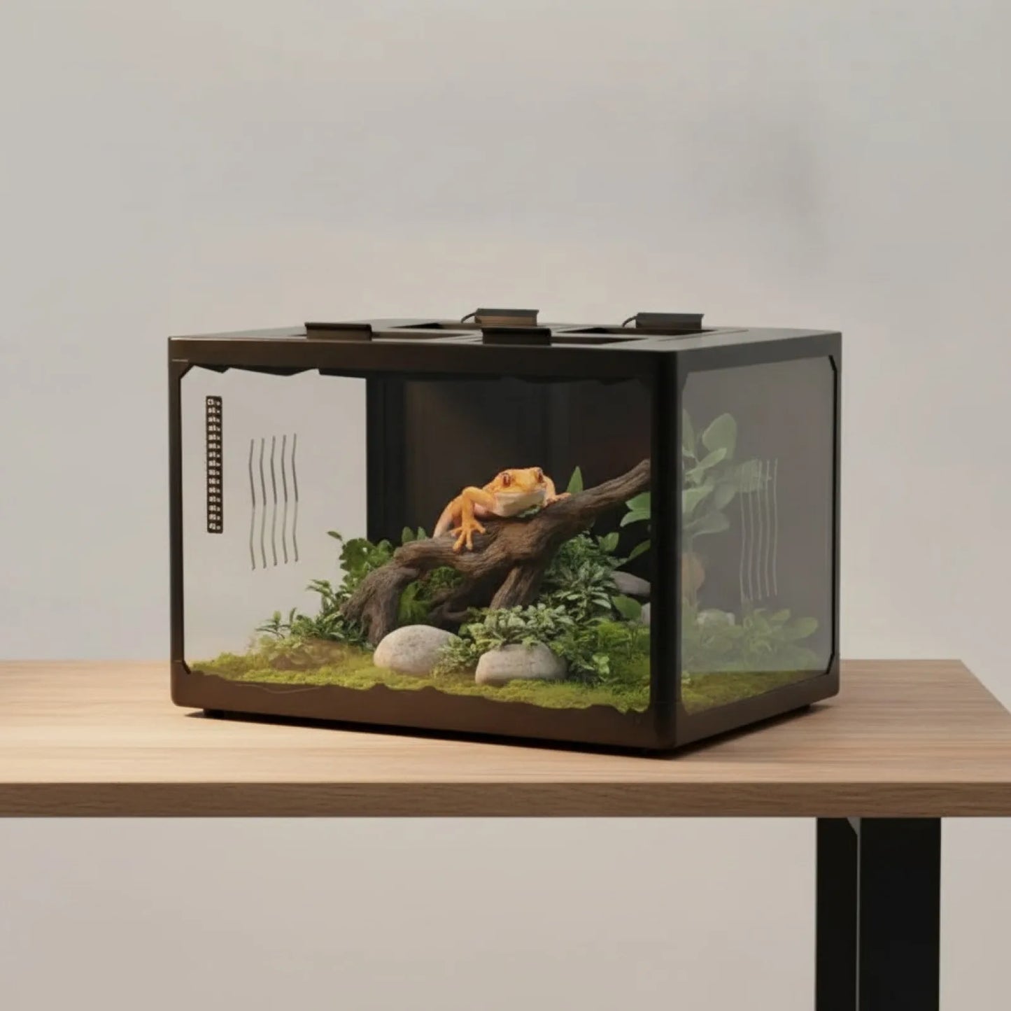 Terrarium Reptile & Tortue 60cm - Habitat Naturel & Sécurisé