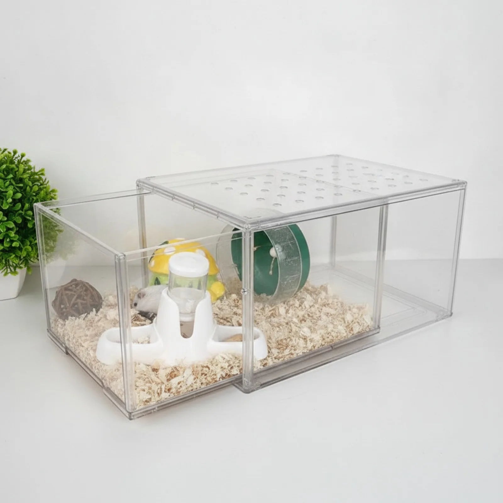 Terrarium Acrylique Modulable pour Reptiles