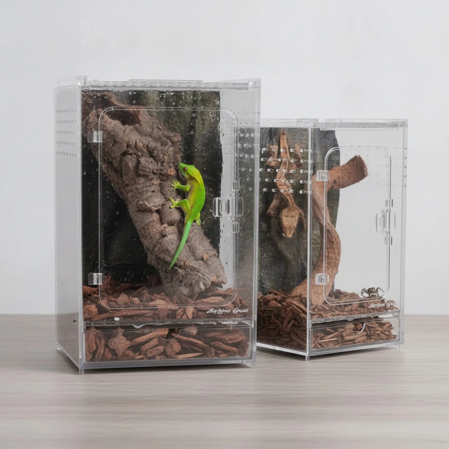 Terrarium Acrylique Transparent pour Reptiles et Insectes