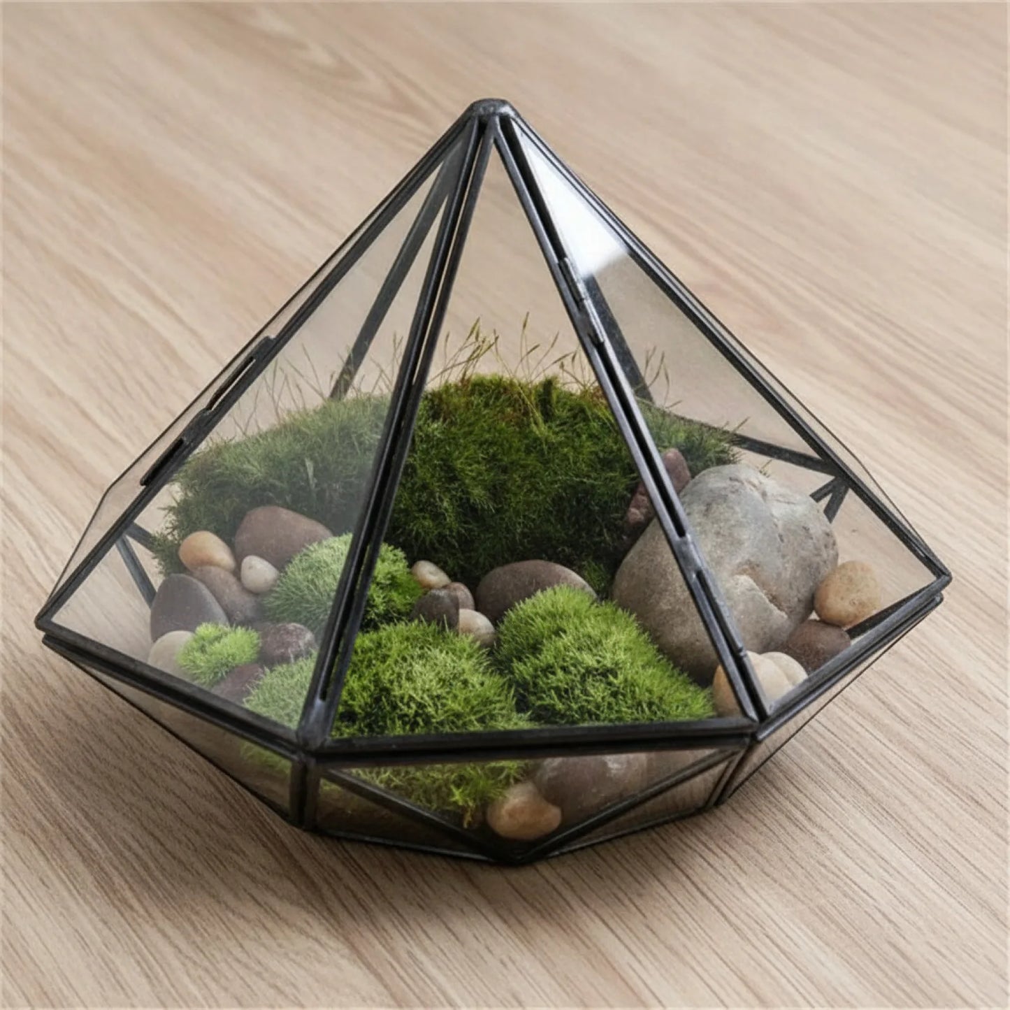 Terrarium Diamant Noir BenRussell