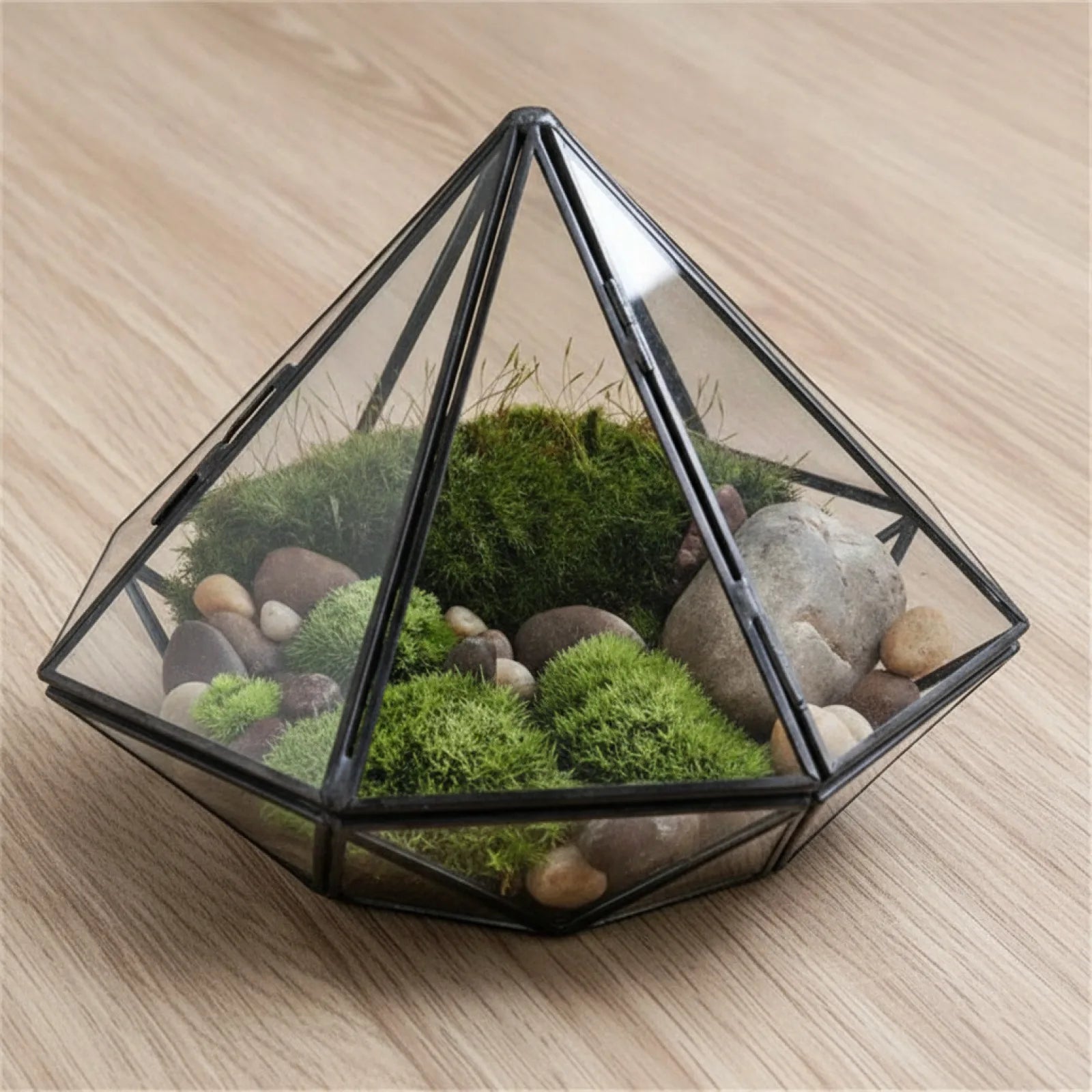 Terrarium Diamant Noir BenRussell