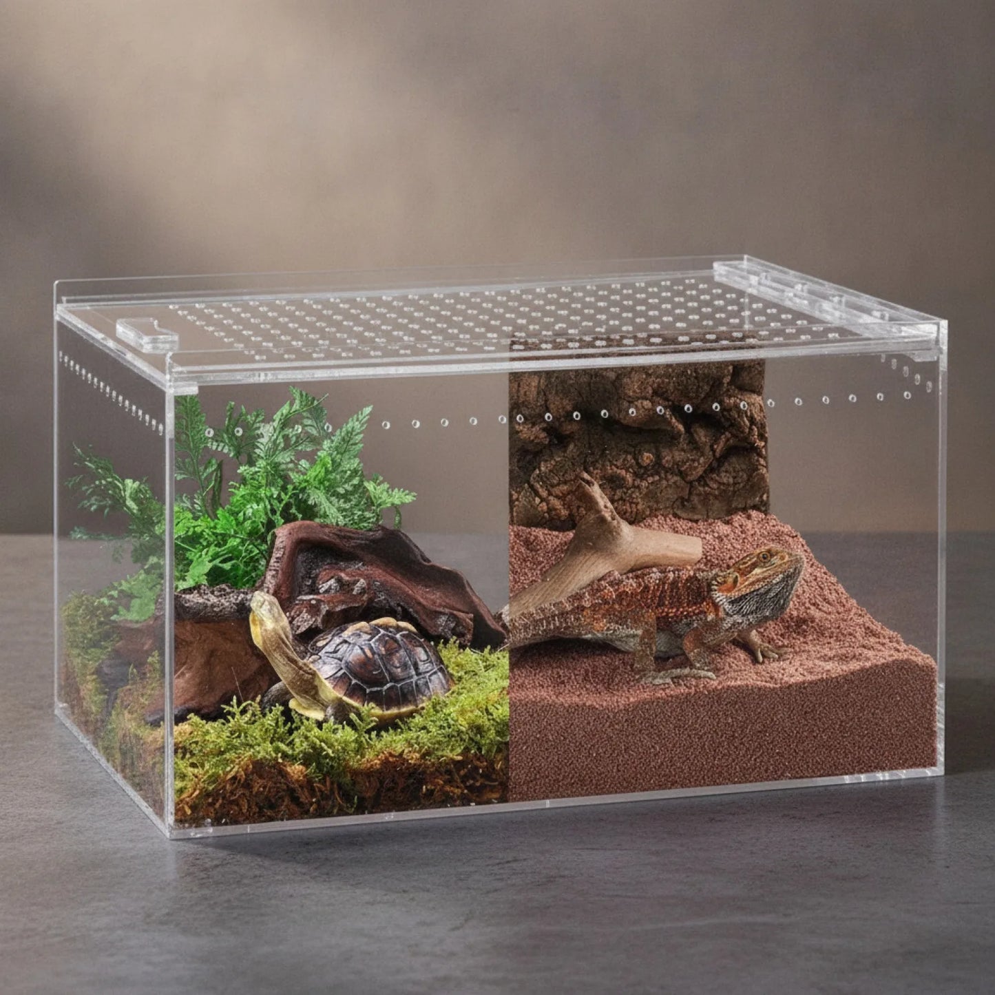 Terrarium Reptile Vision 8K Ultra-Claire