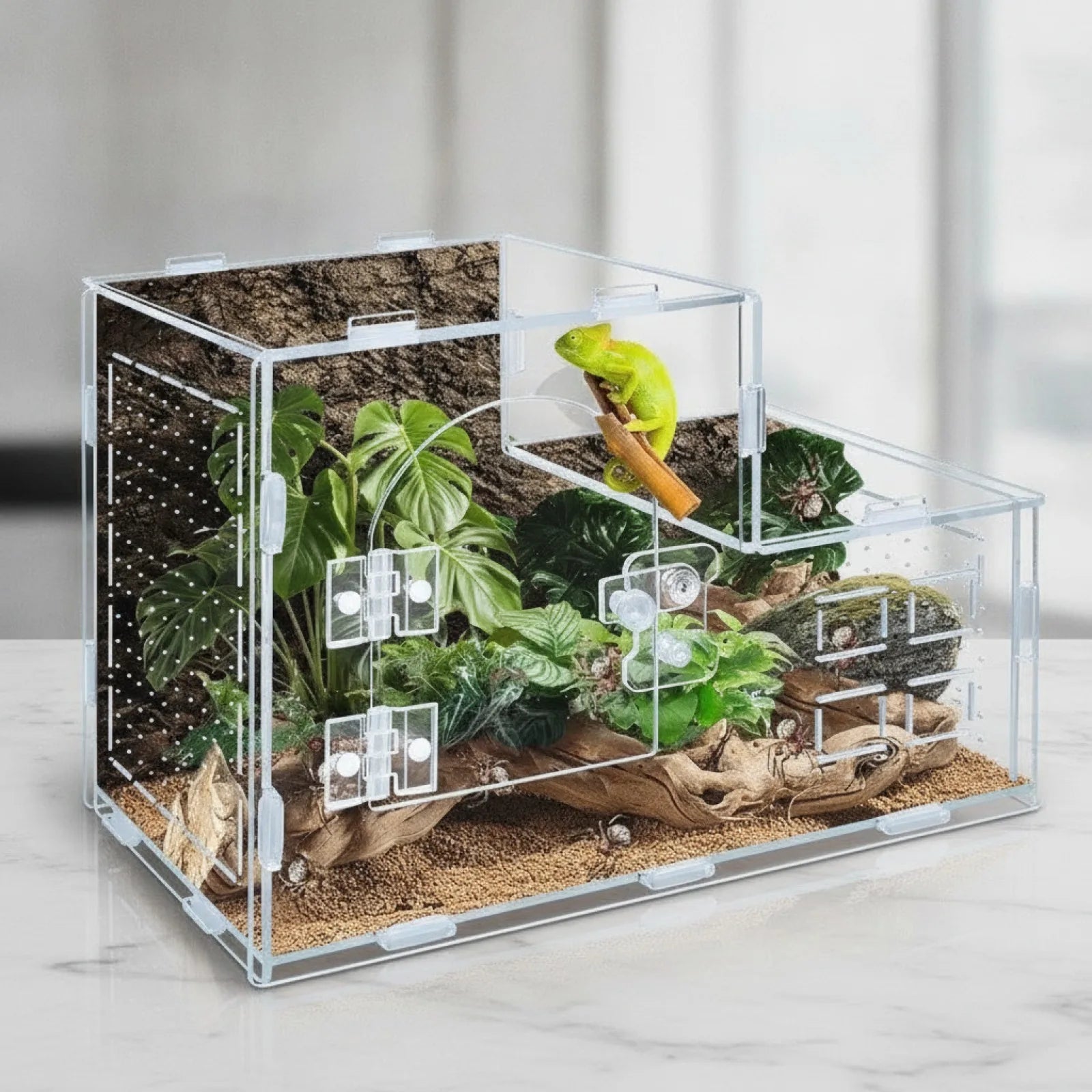 Terrarium Acrylique Panoramique 360°