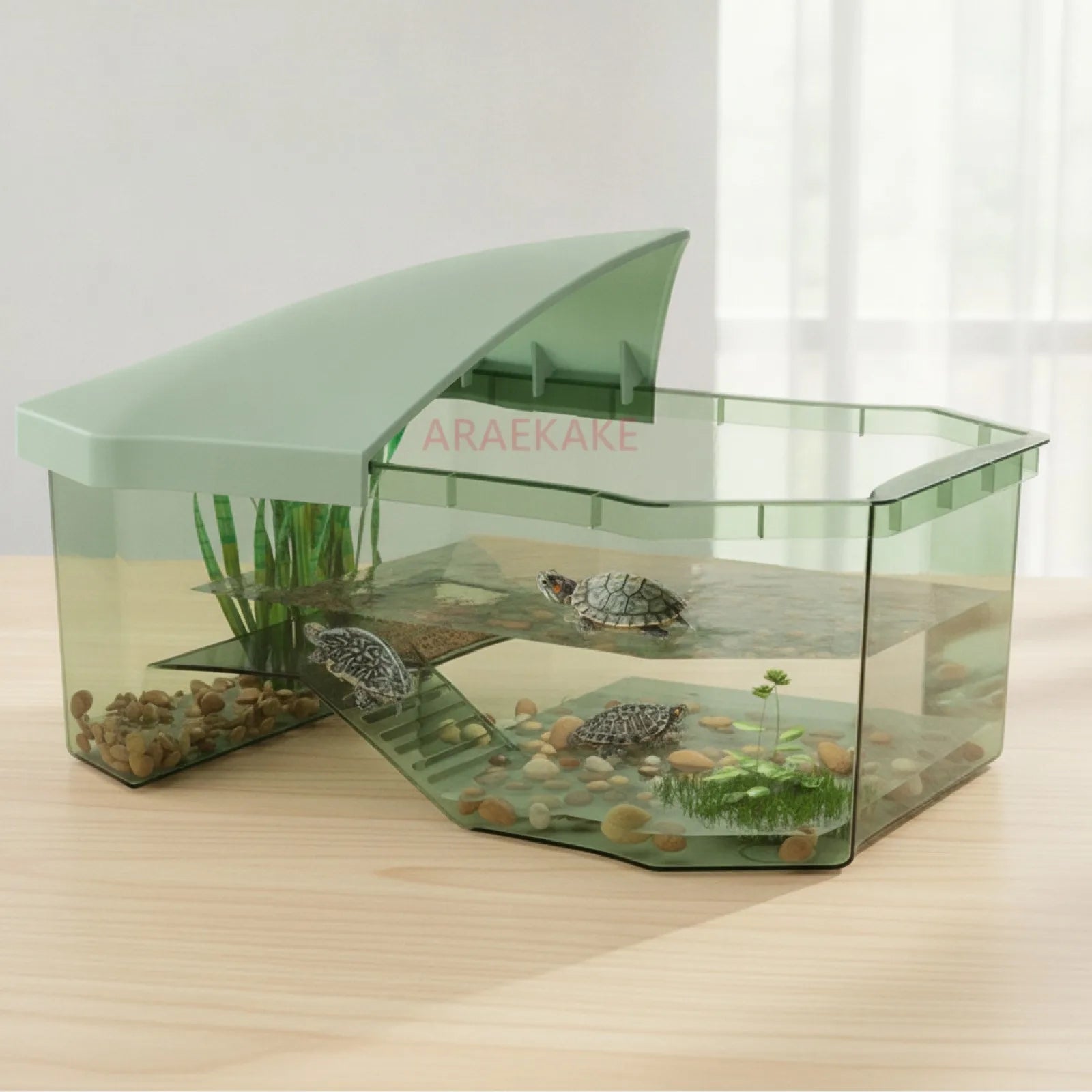 Bac Tortue Aquatique avec Plateforme de Bronzage