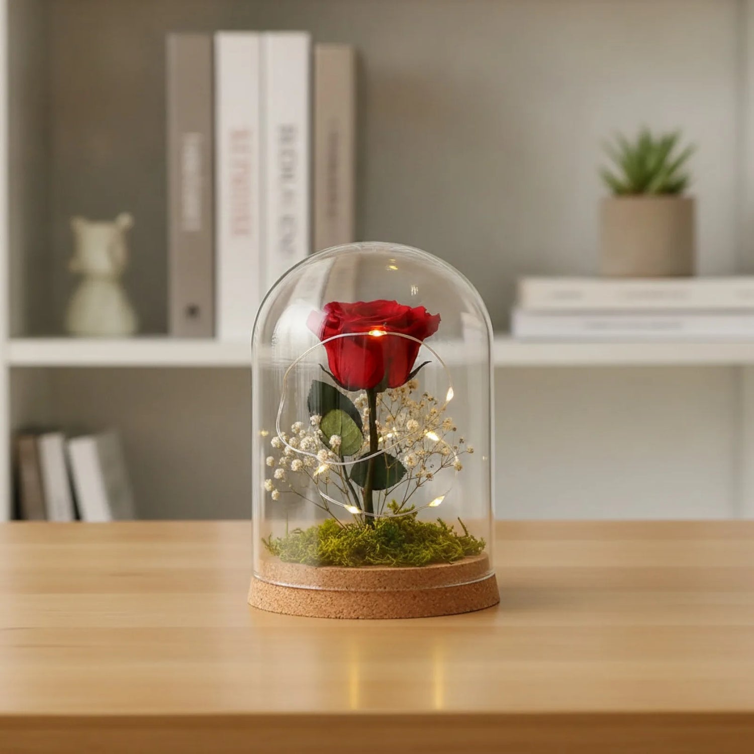 Cloche en Verre & Bois pour Fleurs Séchées et Plantes