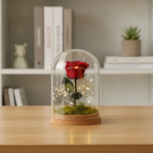 Cloche en Verre & Bois pour Fleurs Séchées et Plantes