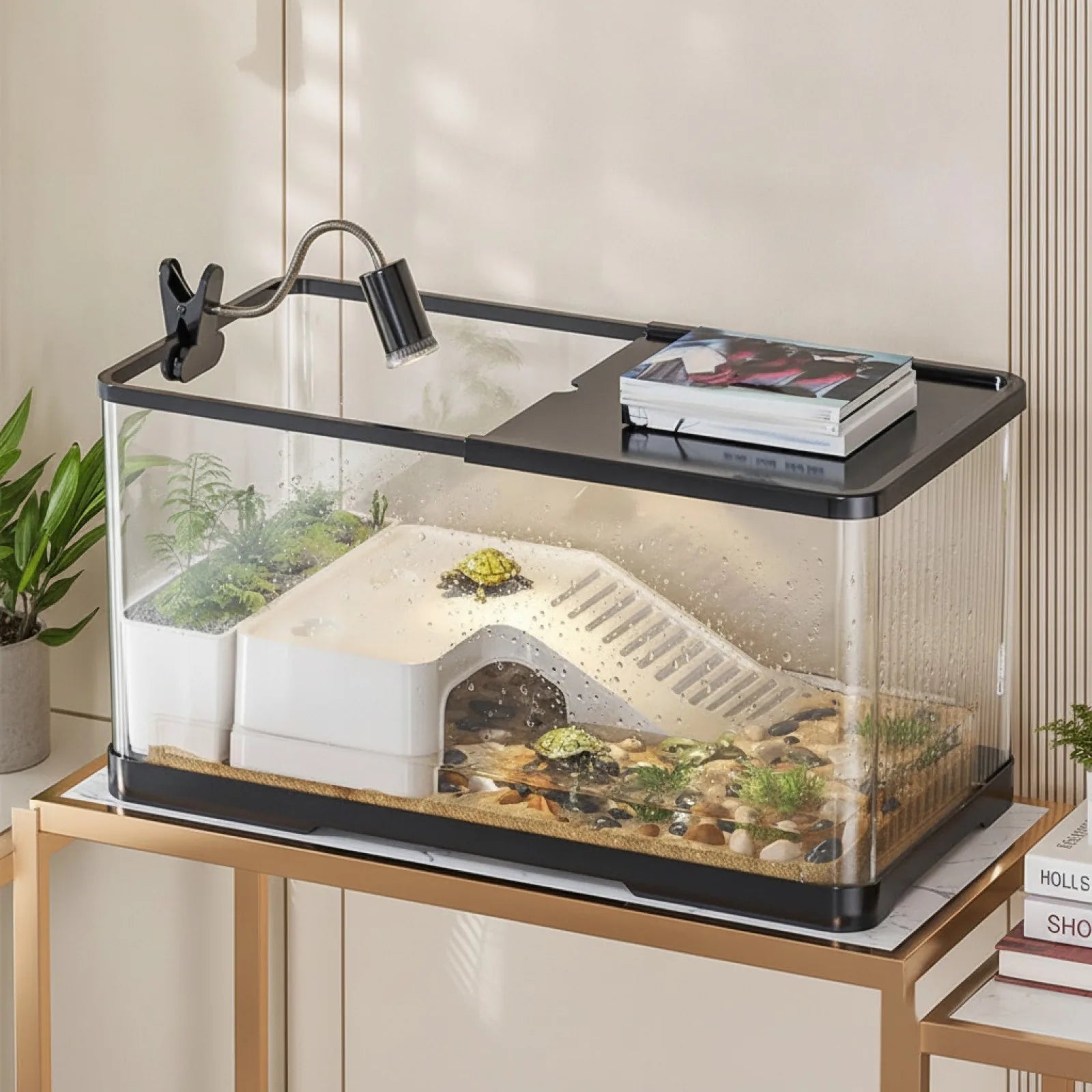 Terrarium Tortue 20 Gallons avec Plateforme