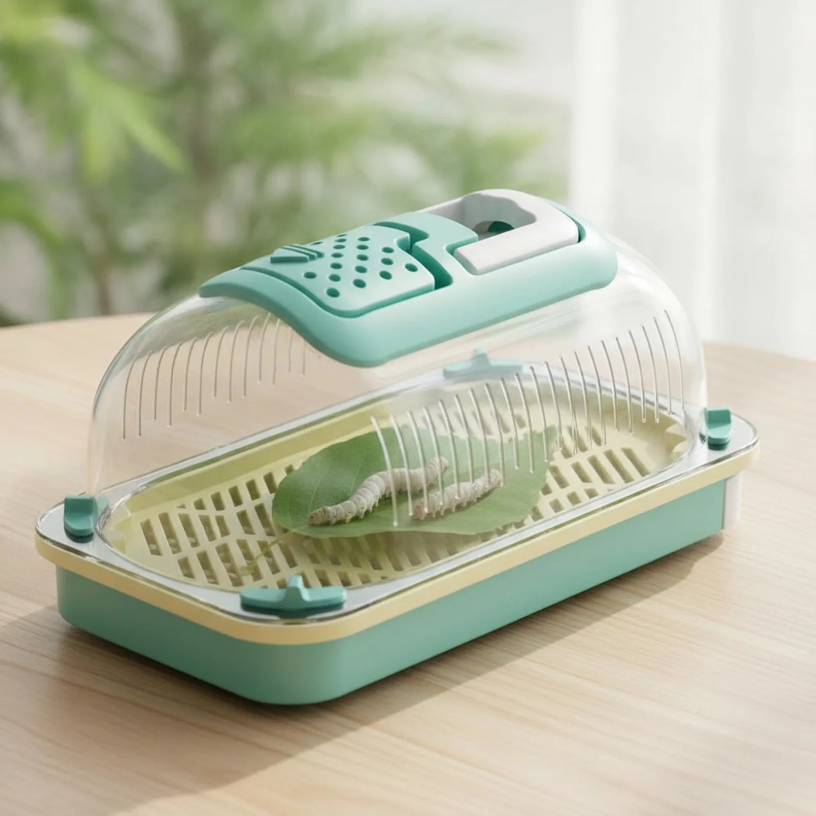 Boîte d'Élevage & Observation pour Insectes et Reptiles
