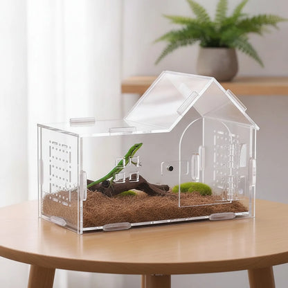 Habitat Transparent Écologique pour Reptiles