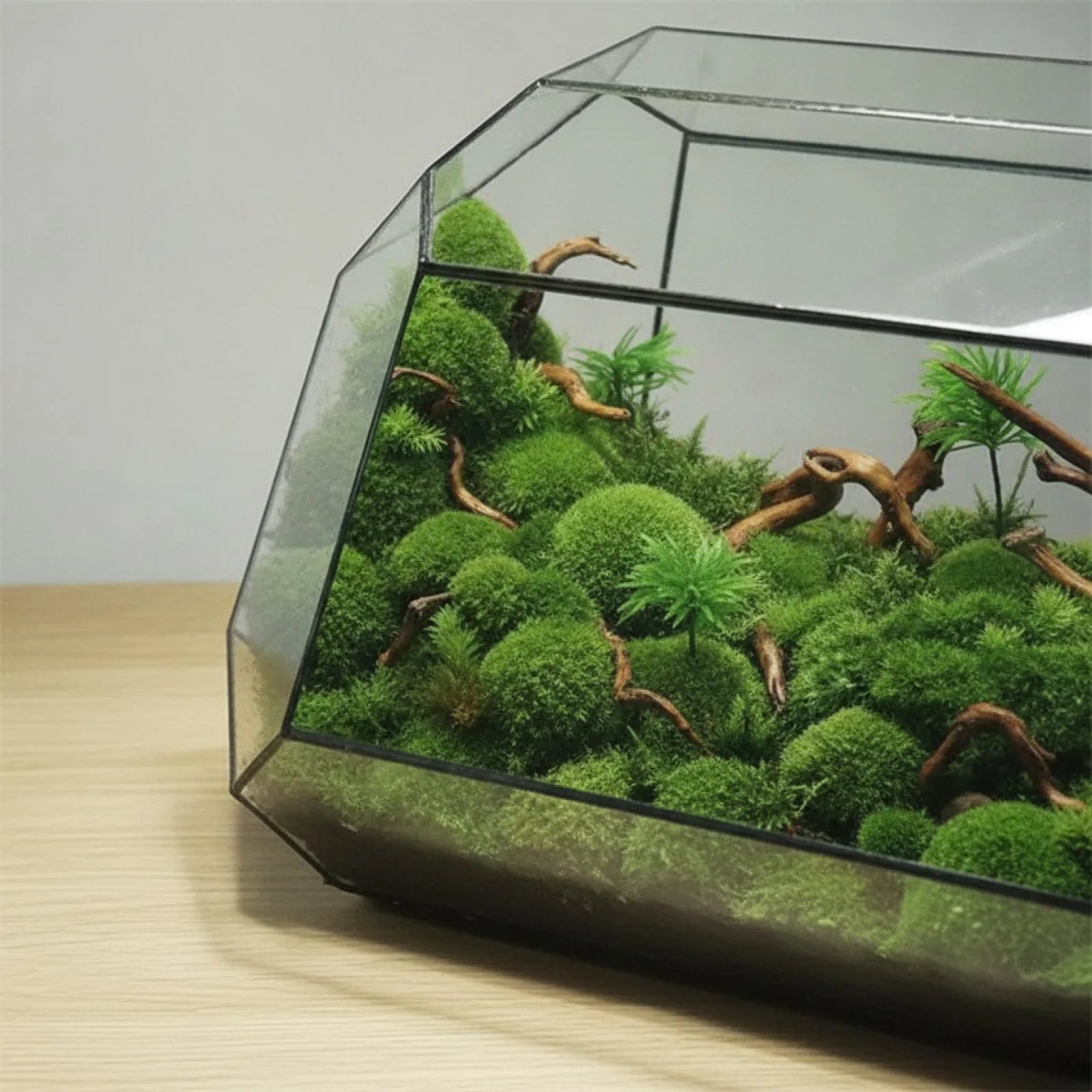 Terrarium Géométrique BenRussell en Verre
