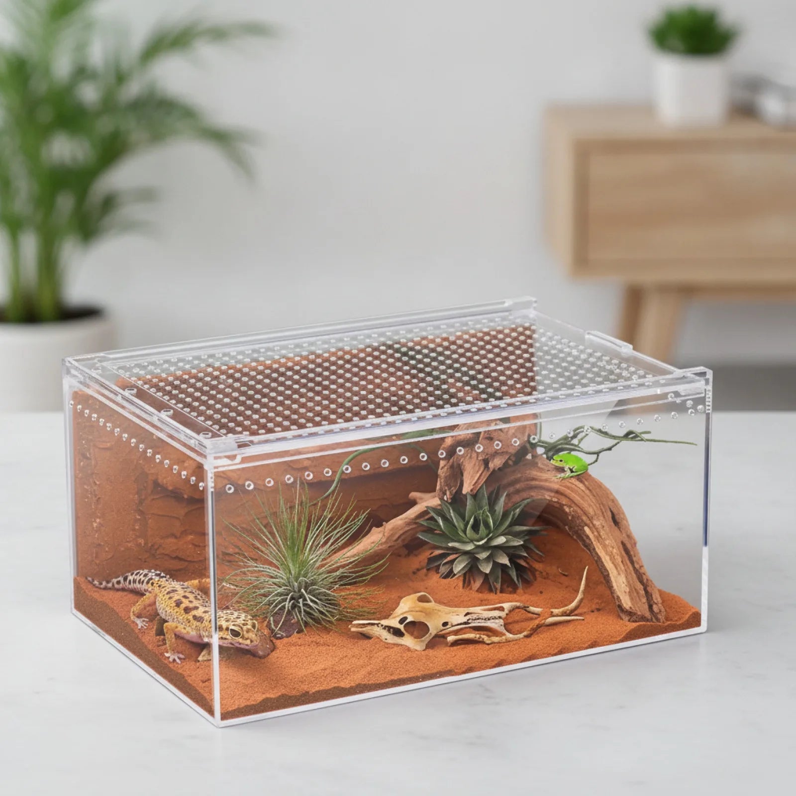 Terrarium Acrylique Transparent 360°