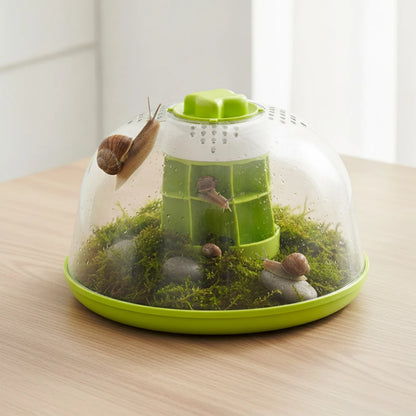 Terrarium Nomoypet pour Escargots et Insectes