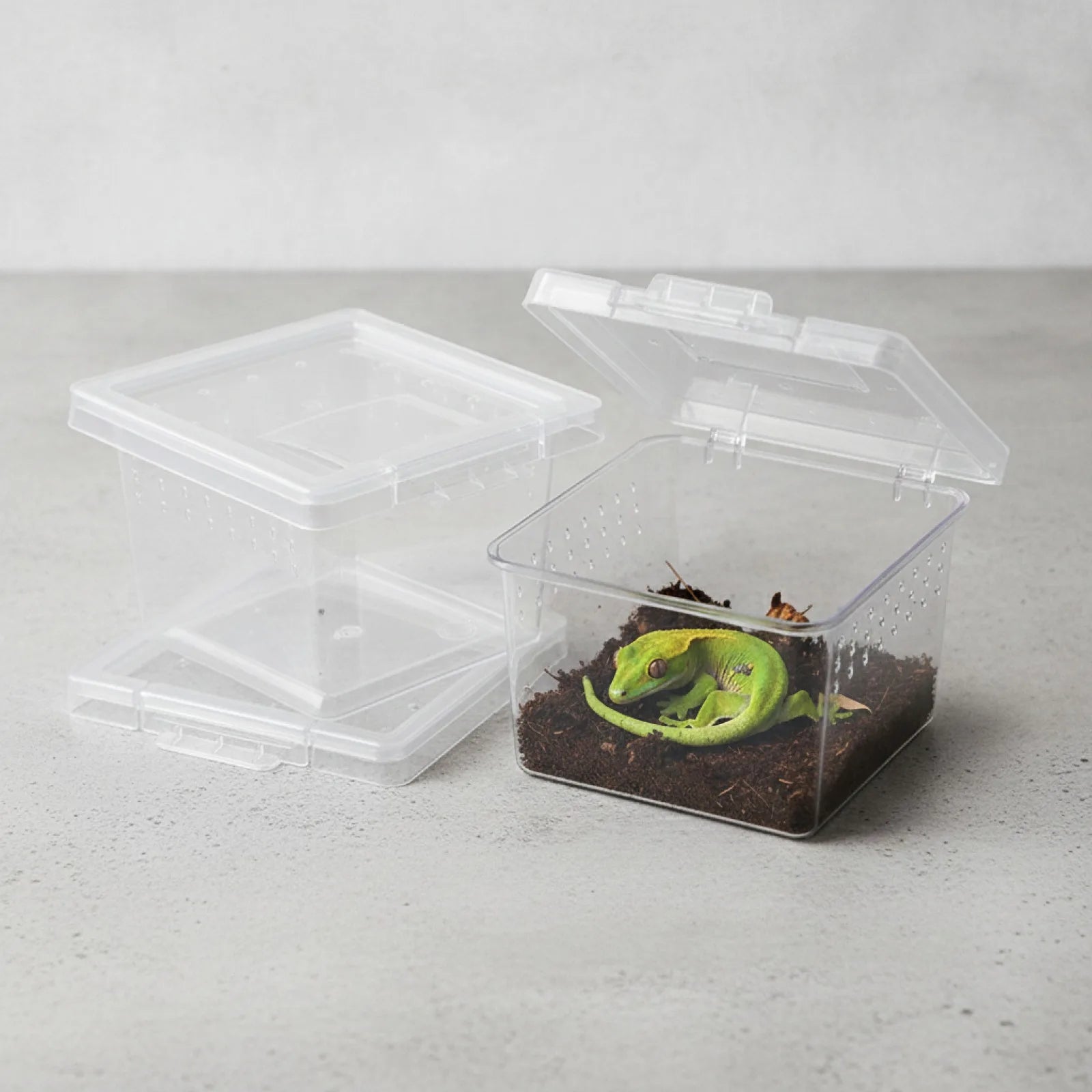 Boîte d'Élevage ExuRealm pour Reptiles