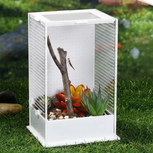Terrarium Acrylique Transparent : Vue Panoramique