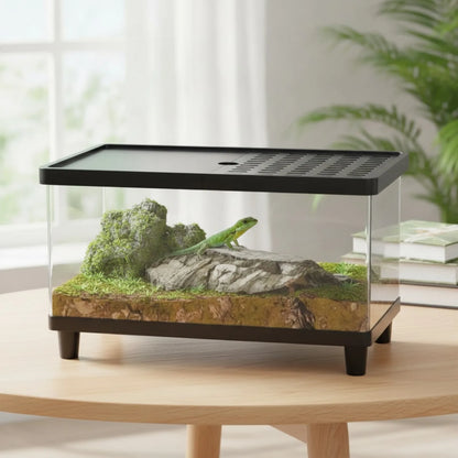Terrarium Transparent Haute Sécurité