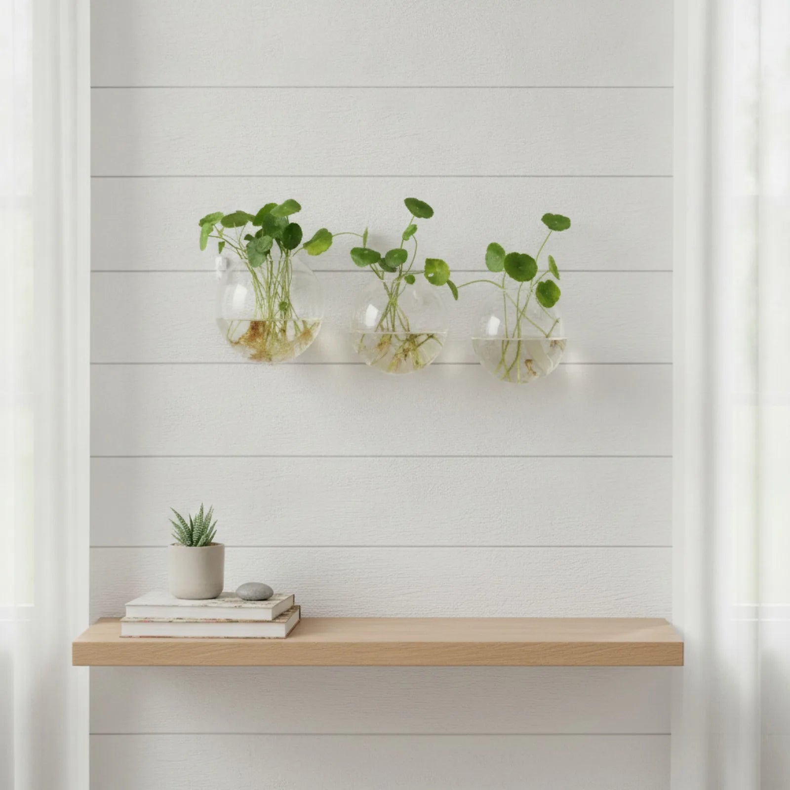 Terrarium Mural Design en Verre Suspendu