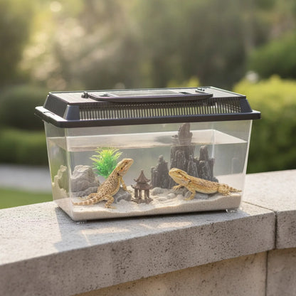 Boîte d'Élevage Reptile Transparente et Portable
