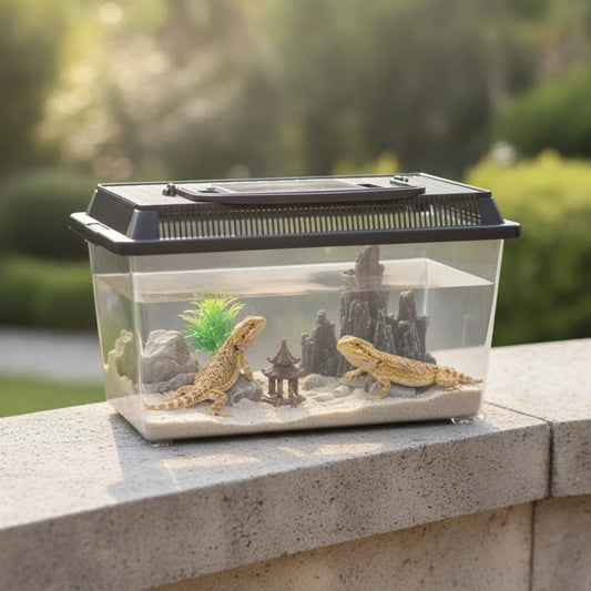 Boîte d'Élevage Reptile Transparente et Portable