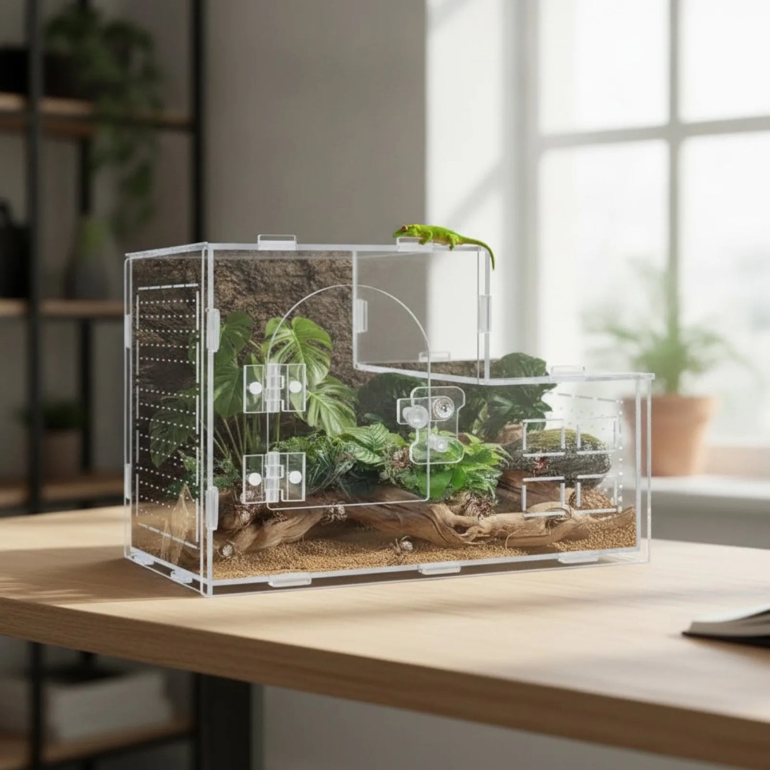 Terrarium Acrylique Panoramique 360°