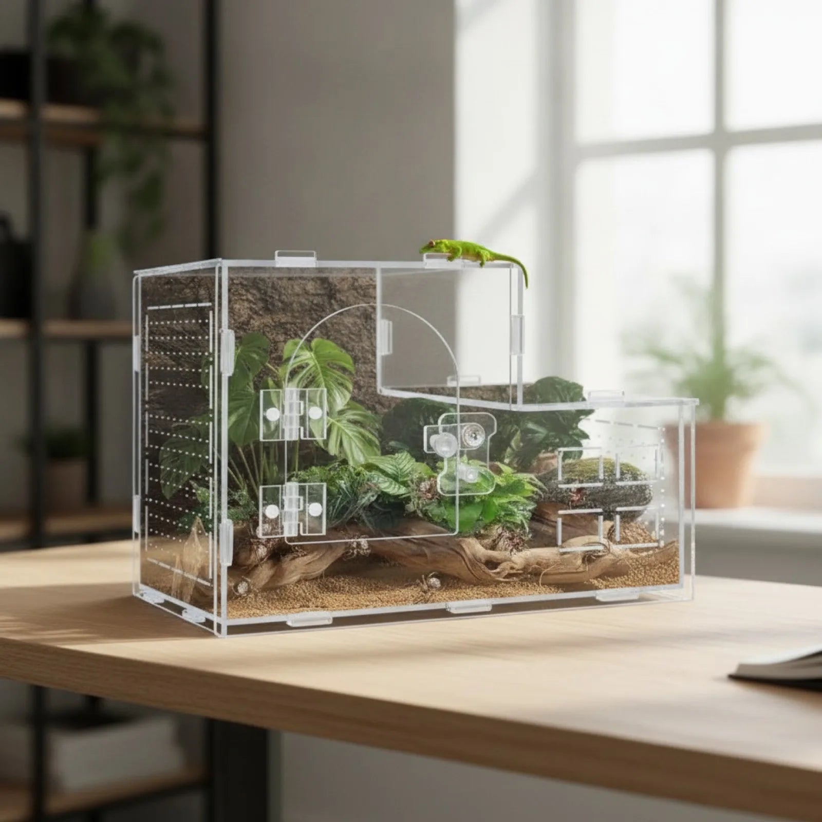Terrarium Acrylique Panoramique 360°