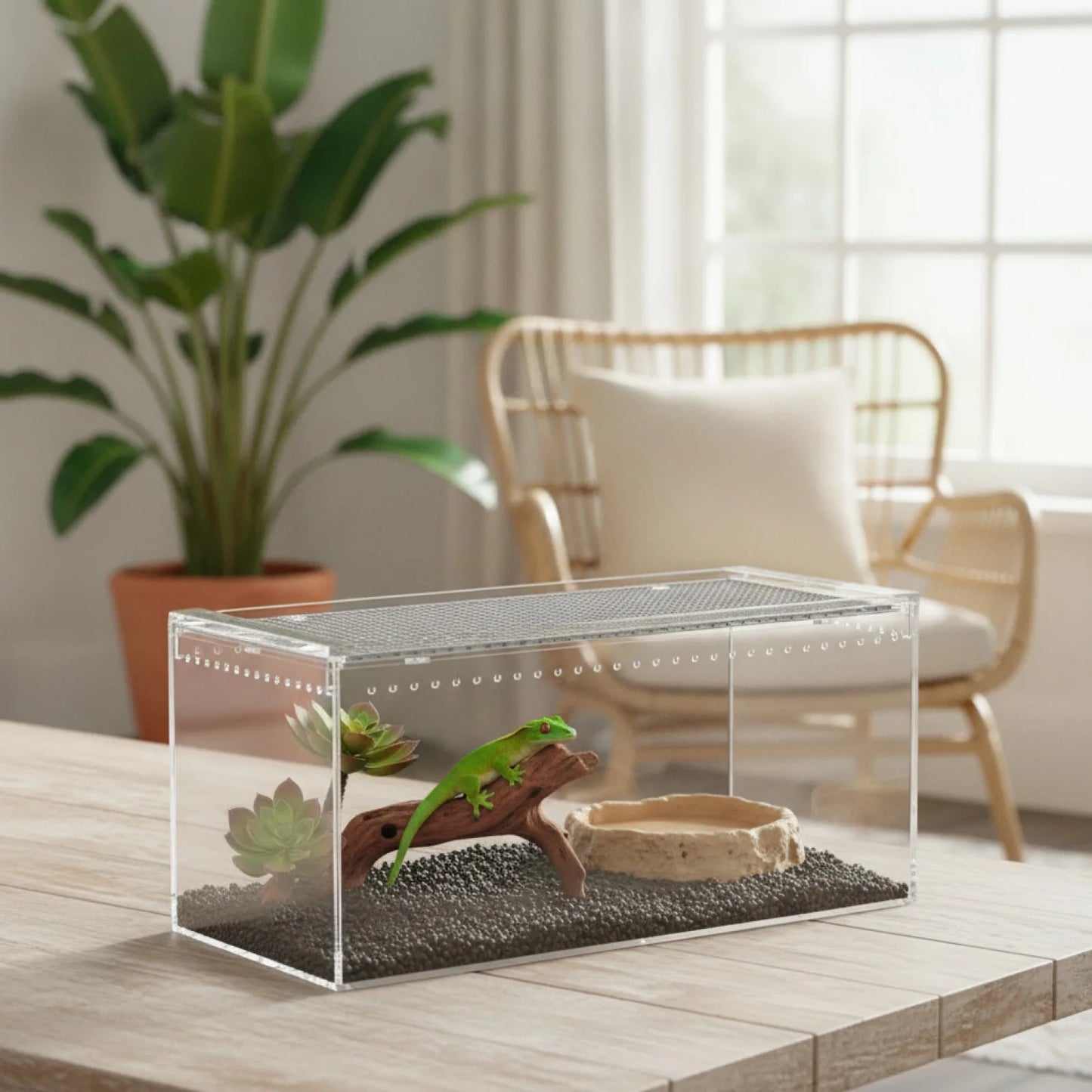 Terrarium Acrylique Transparent pour Reptiles