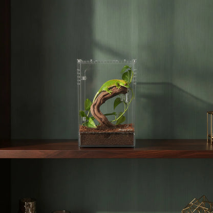Terrarium Acrylique Transparent pour Reptiles et Insectes
