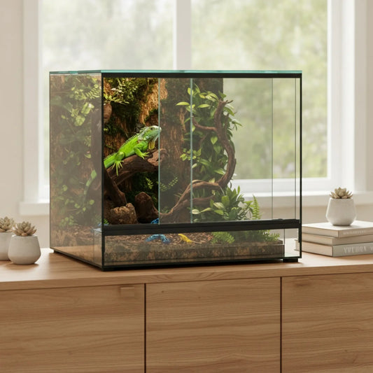 Terrarium Verre 30x30x30cm : Habitat Panoramique Reptiles