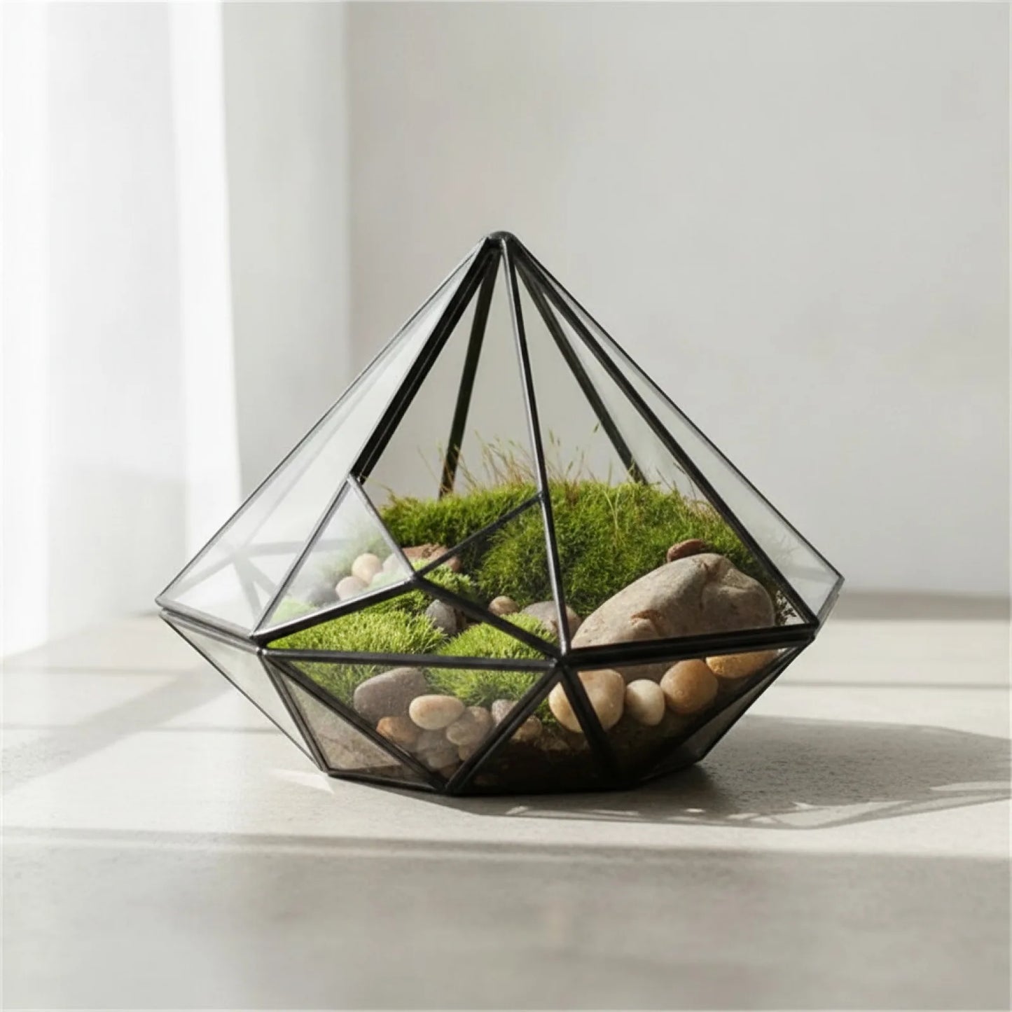 Terrarium Diamant Noir BenRussell