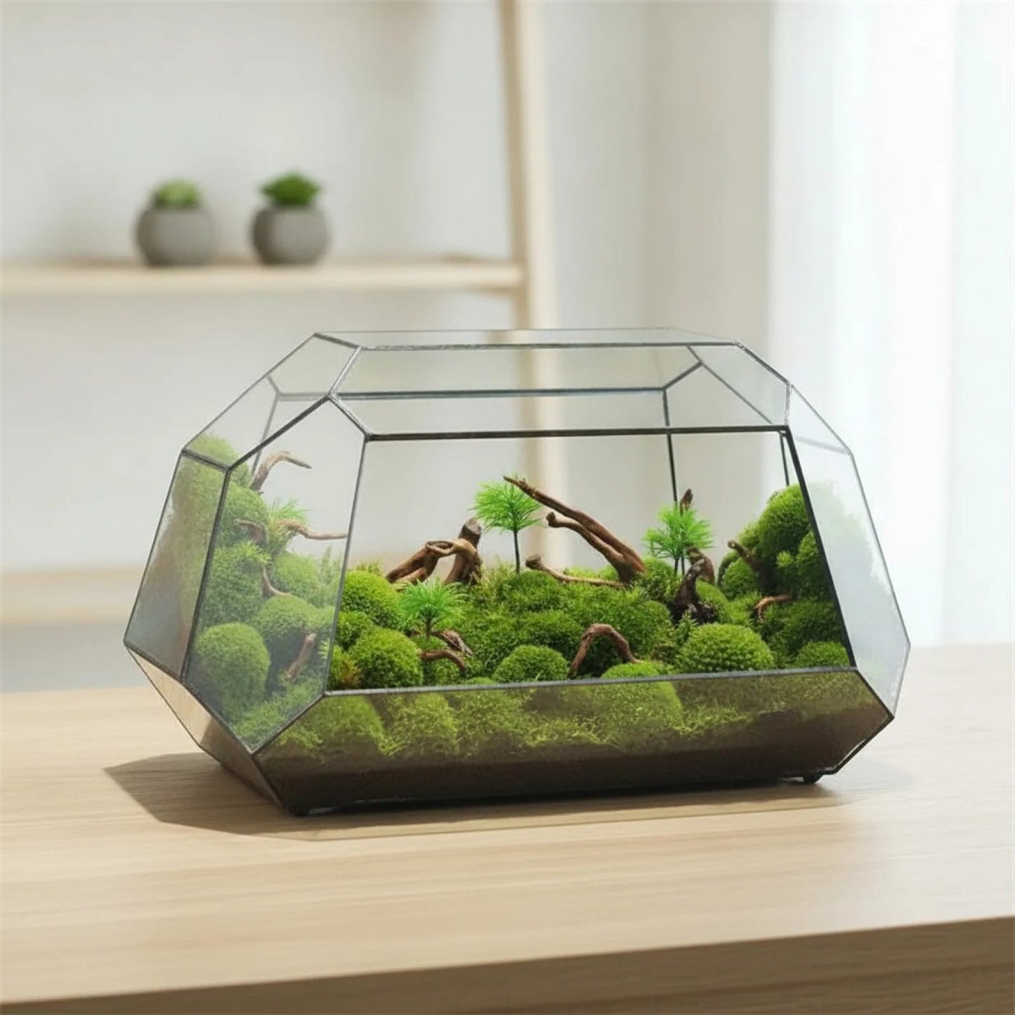 Terrarium Géométrique BenRussell en Verre