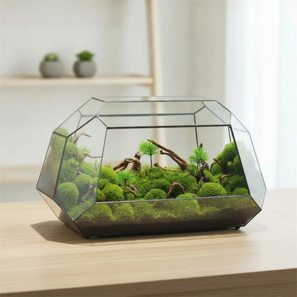 Terrarium Géométrique BenRussell en Verre