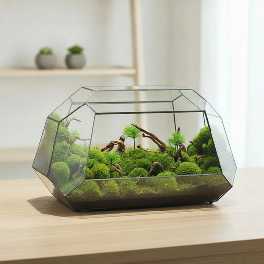 Terrarium Géométrique BenRussell en Verre