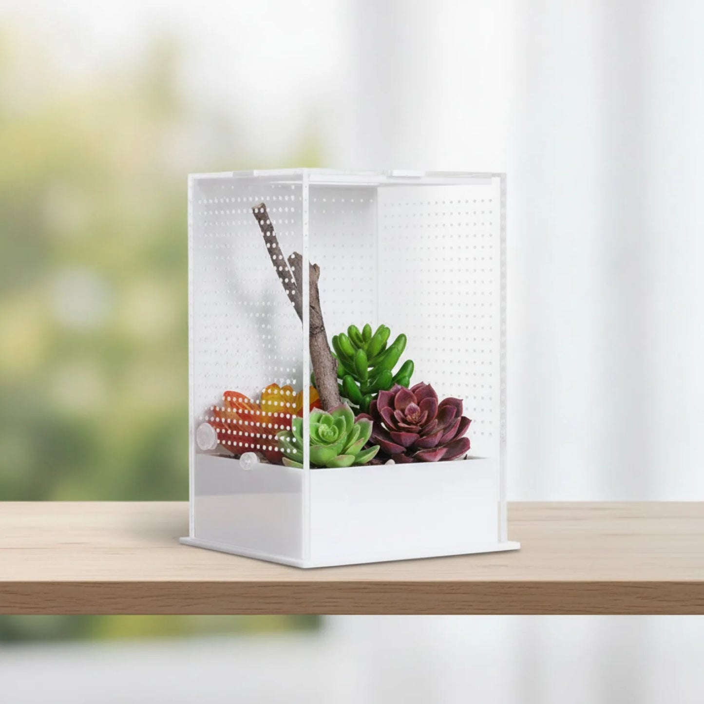 Terrarium Acrylique Transparent : Vue Panoramique