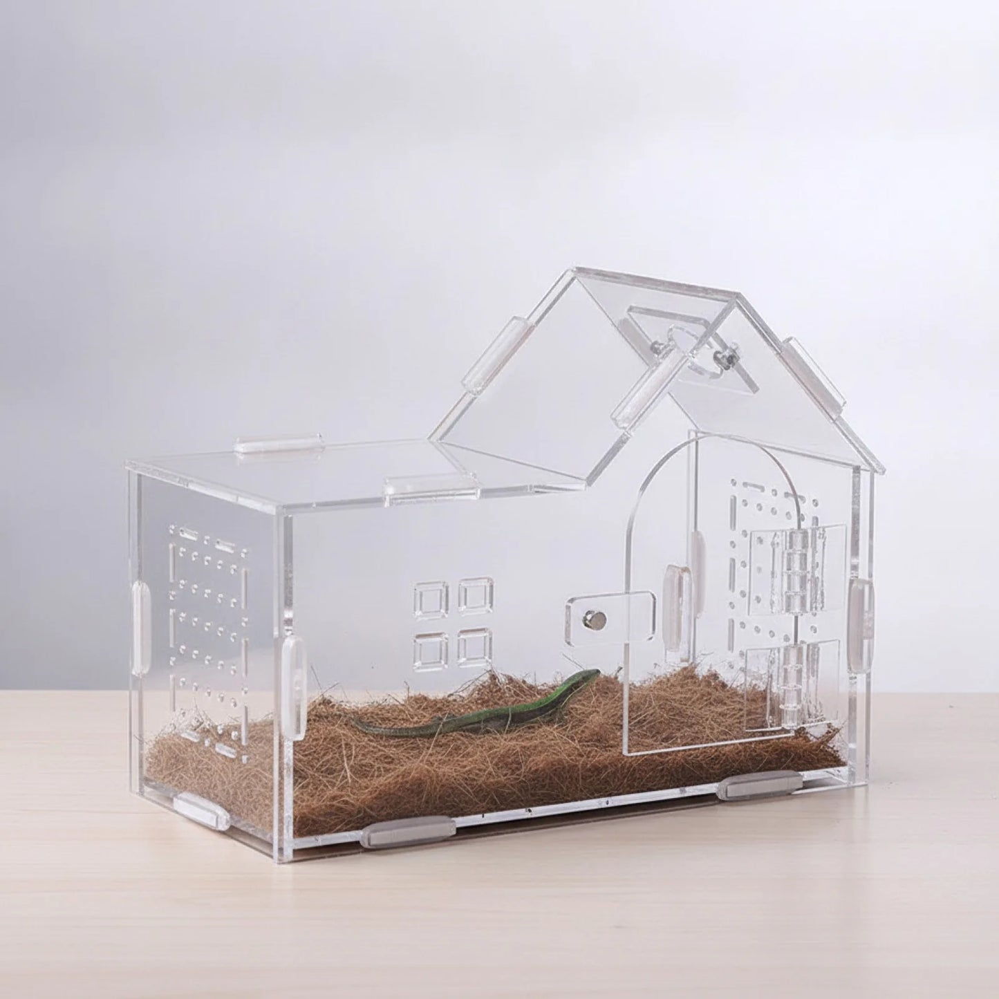 Habitat Transparent Écologique pour Reptiles