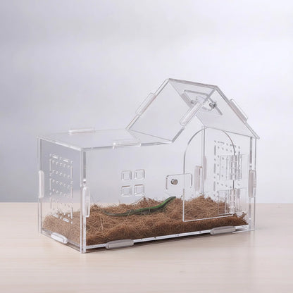 Habitat Transparent Écologique pour Reptiles