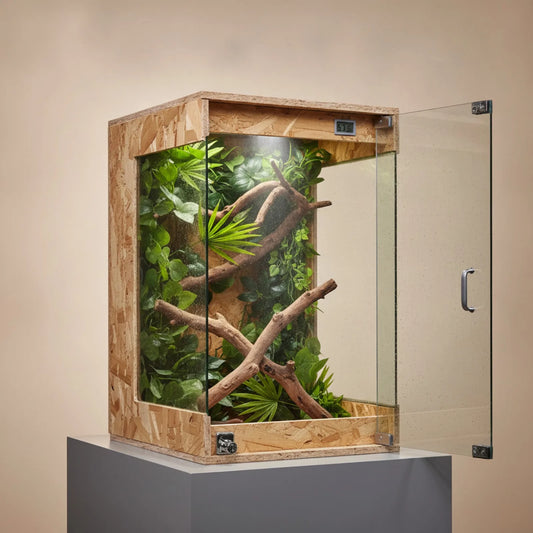 Terrarium Verre 40x40x60cm avec Pluie - Wild Forest Climbing Pet