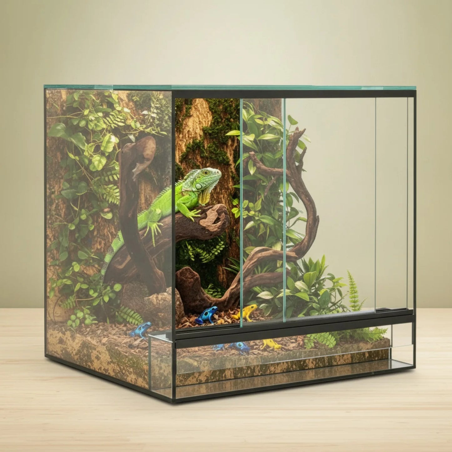 Terrarium Verre 30x30x30cm : Habitat Panoramique Reptiles