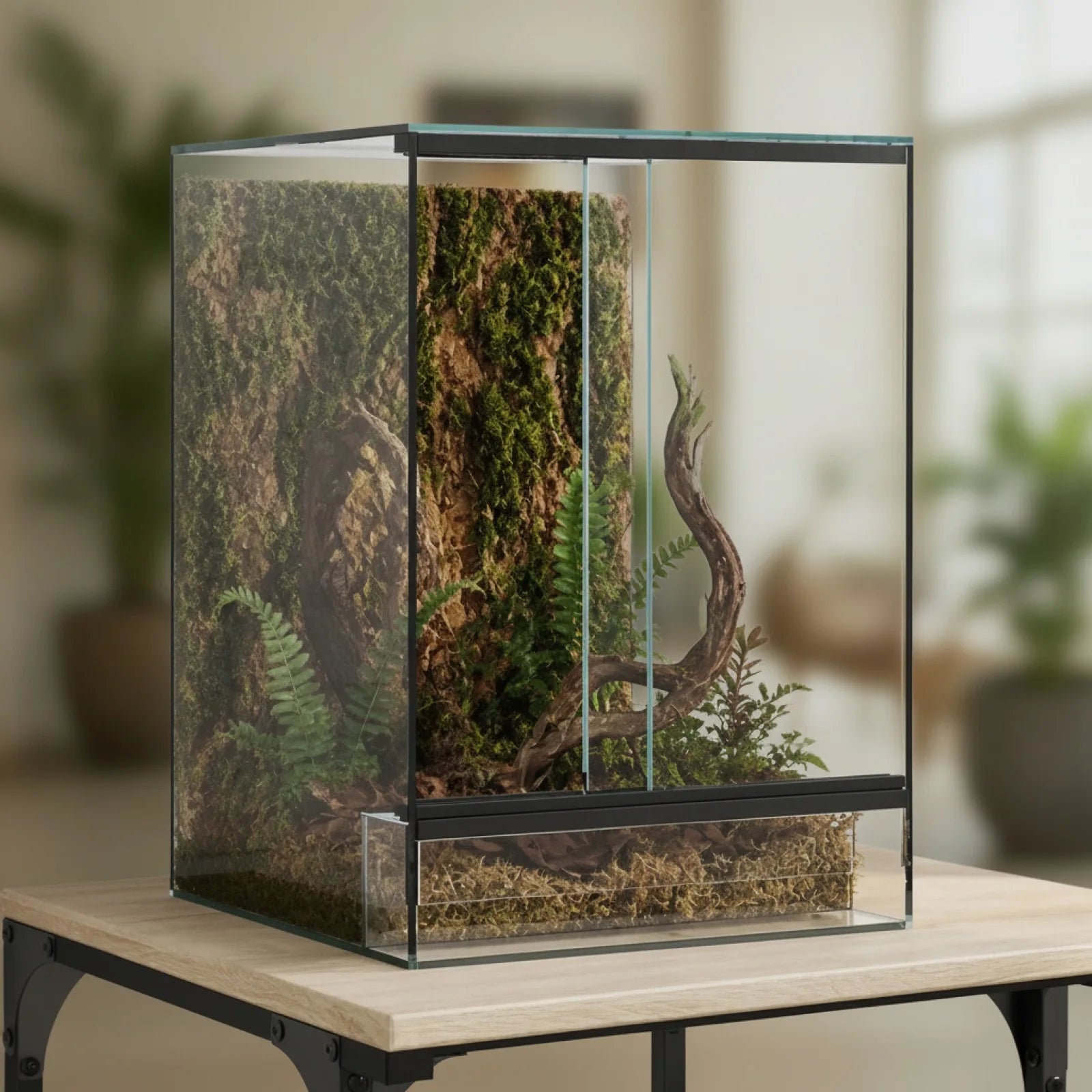 Terrarium Verre 30x30x40cm - Vue 360°