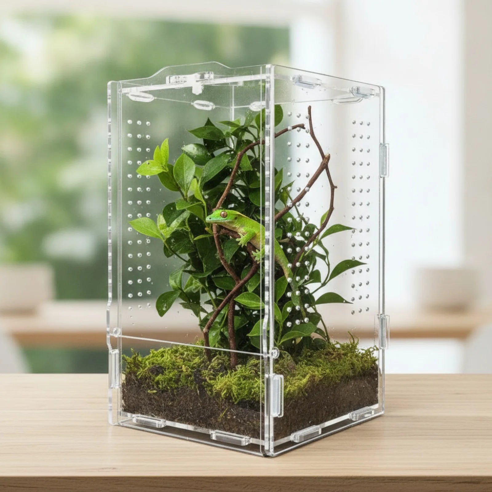 Terrarium Acrylique Transparent pour Reptiles et Arachnides