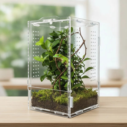 Terrarium Acrylique Transparent pour Reptiles et Arachnides