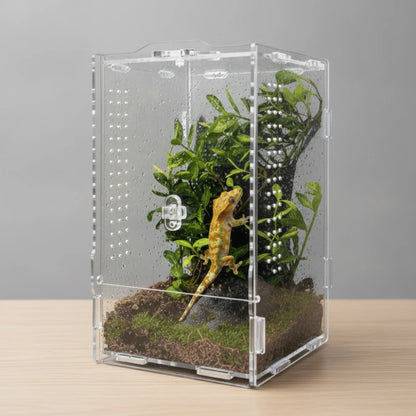 Terrarium Acrylique Transparent pour Reptiles et Arthropodes